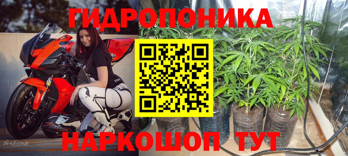 Конопля гибрид  Вход с VPN  Кумертау  МАРИХУАНА ГИДРОПОН 